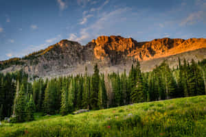 Mac背景 — MacBook Pro 14 壁纸