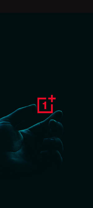 Oneplus Nord标志与手 — Pixel 9 Pro Fold 壁纸