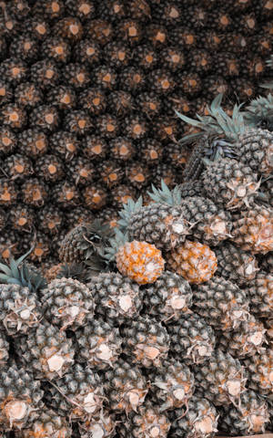 Organized pineapples stacked together wallpaper — Galaxy Tab 壁纸