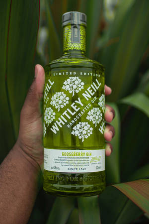 Whitley Neill 金酒 — 小米平板8 壁纸