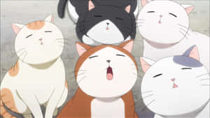 动漫猫咪图片 — 动漫猫咪 壁纸
