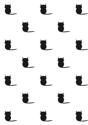 黑猫图片 — 黑猫 壁纸