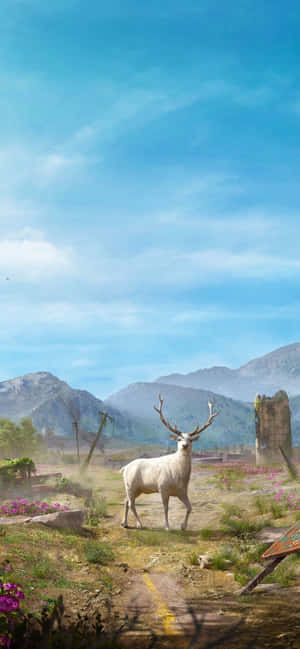 iPhone Xs Max Far Cry 5 背景 — Fairphone 6 壁纸