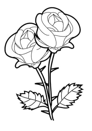 花朵着色图片 — iPad Air 壁纸