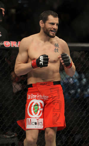乔恩·菲奇站立八角笼 UFC 141 — Pixel Tablet 壁纸