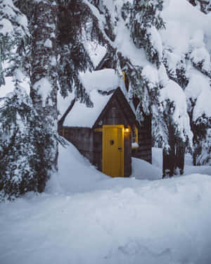 雪景美学图片 — 雪景美学 壁纸