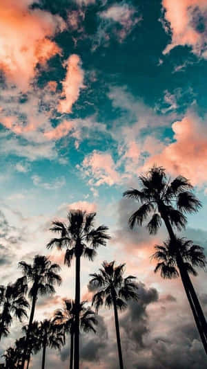 夏日图片