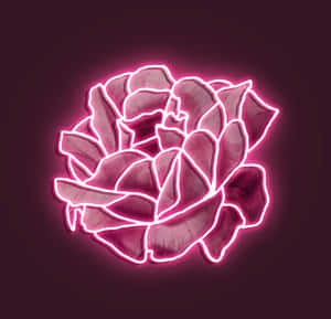 霓虹粉美学图片 — 霓虹粉美学 壁纸