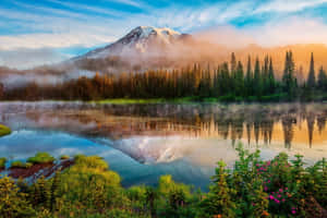 美丽的自然背景 — 美丽自然 壁纸