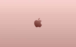 玫瑰金色 — MacBook 壁纸