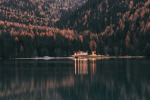 Mac背景 — MacBook Pro M4 壁纸