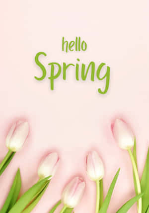 最佳春日背景 — Realme Pad 3 壁纸