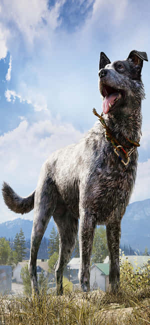 iPhone Xs Far Cry 5 背景 — POCO F 壁纸