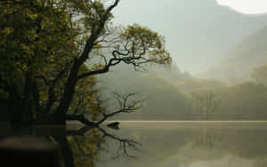 1280x800 — 1280x720 壁纸