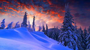 冬日夕阳风景壁纸