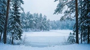 雪林与冰湖的超宽冬季景观。
