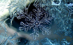 冰晶雪花壁纸