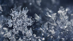 冰雪美学冰凌壁纸 — 雪景美学 壁纸