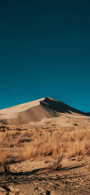 手机背景 — Tecno Pop X 4G 壁纸