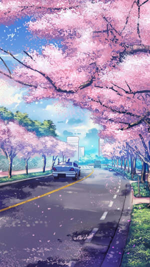 动漫樱花iPhone壁纸 — 花卉 iPhone 壁纸