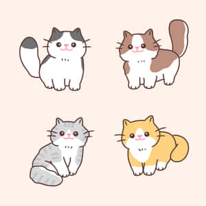 卡通猫咪图片 — 卡通猫 壁纸