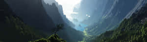 双显示器背景 — 双屏动图 壁纸