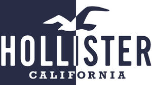 双色调Hollister标志壁纸 — 简约 壁纸