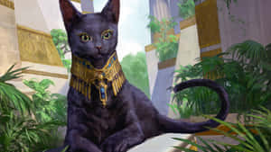 埃及猫图片 — 美学猫 壁纸