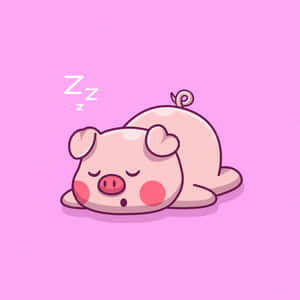可爱小猪图片 — 可爱的小猪 壁纸