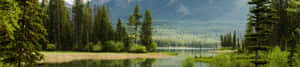 4K自然背景 — 4K 自然 壁纸