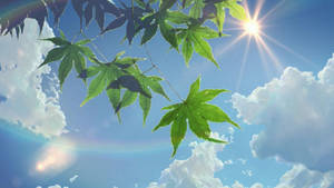 夏日美学 阳光与天空壁纸 — 夏日美学 壁纸