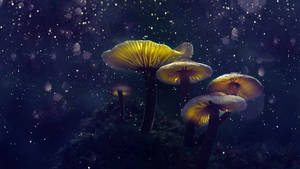 奇幻蘑菇美学 — 可爱蘑菇 壁纸