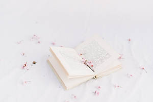 学院派美学书本花朵壁纸 — 学院风美学 壁纸