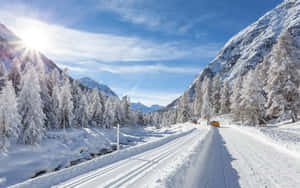 宁静的冰封道路，四周白雪覆盖的树木 — MacBook Air M1 壁纸