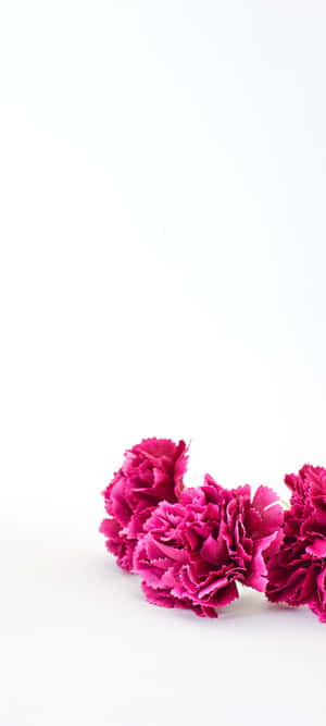 1080x2400 — 1080x2400 壁纸