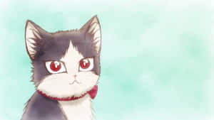 室内猫咪与年轻男子的温馨时光 — 动漫猫咪 壁纸