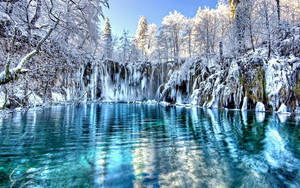 寒冷森林雪湖壁纸