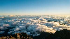 山顶俯瞰云海，正值黄金时分的景色。 — 天空景观 壁纸