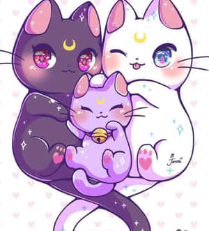 动漫猫图片 — Galaxy Z Flip 8 壁纸