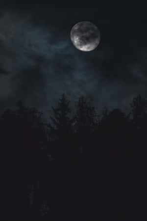 惊艳午夜星空 — 夜空 GIF 壁纸