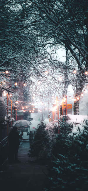 雪景美学图片 — 雪景美学 壁纸