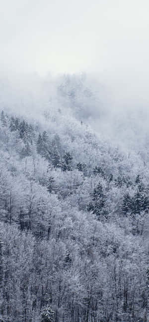 雪iPhone — iPhone 18 Pro Max 壁纸