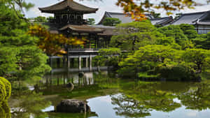 日本图片 — 日本动图 壁纸