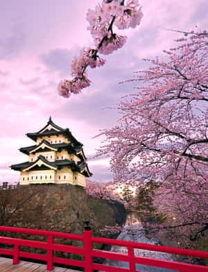 日本手机 — 日本动图 壁纸