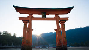 日本鸟居日落壁纸 — 日本动图 壁纸