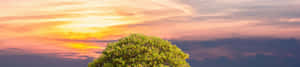 4K自然背景 — 4K 自然 壁纸