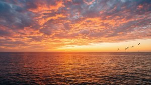 壮丽的海洋日落，色彩斑斓，波光粼粼。 — 天空景观 壁纸