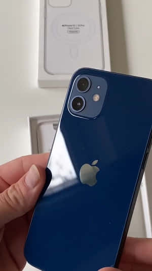 iPhone 12图片