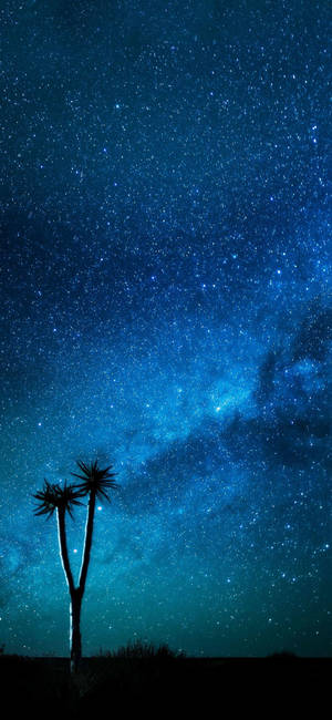 星夜蓝色iPhone — iPhone 18 Pro Max 壁纸