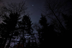 星空与森林之夜壁纸